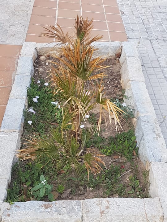 Sonstiges Eix Platja Daurada Hotel & SPA