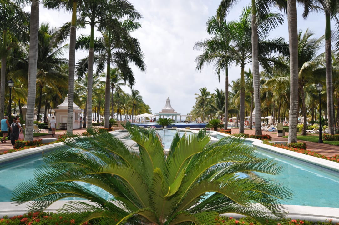 Hotel Hotel Riu Palace Riviera Maya