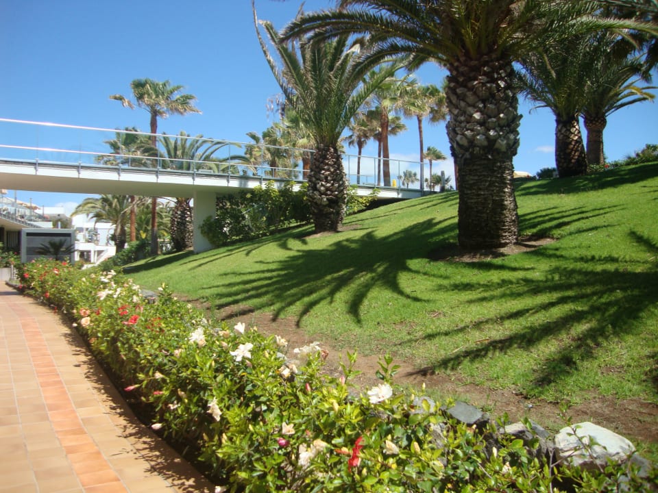 Gartenanlage Riu Club Gran Canaria Hotel Riu Gran Canaria