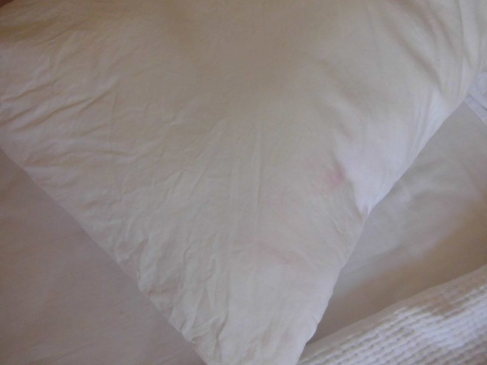 Zimmer im "gleichwertigen" Hotel Side Miami Beach