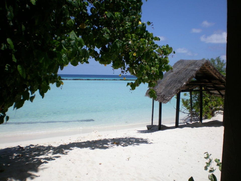 Blick von unserem Bungi aus Summer Island Maldives