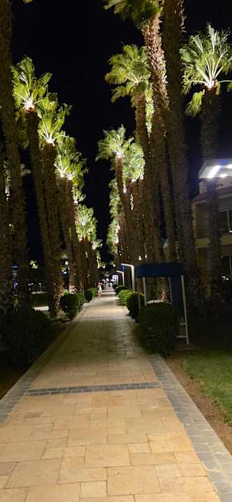 Außenansicht Beach Albatros Resort