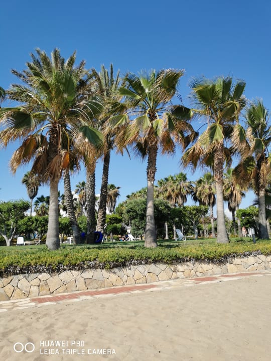 Gartenanlage Hotel Defne Garden