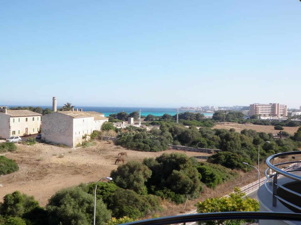 Meeresblick vom Balkon aus Protur Biomar Sensatori Resort