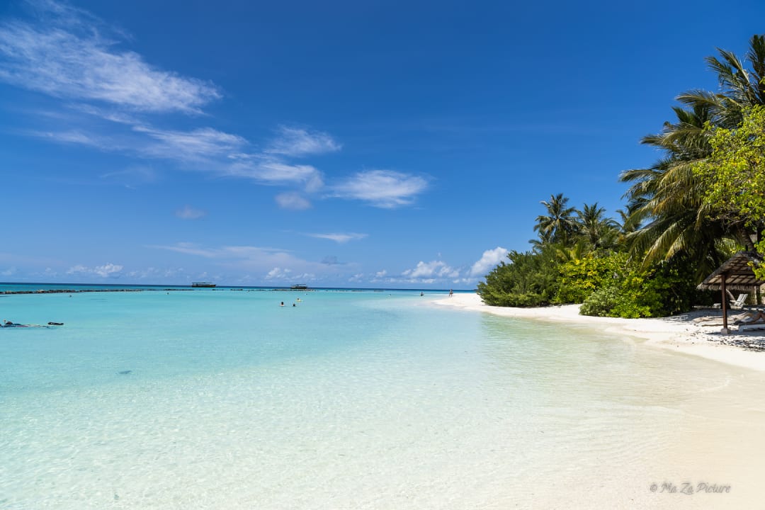 Strand Summer Island Maldives