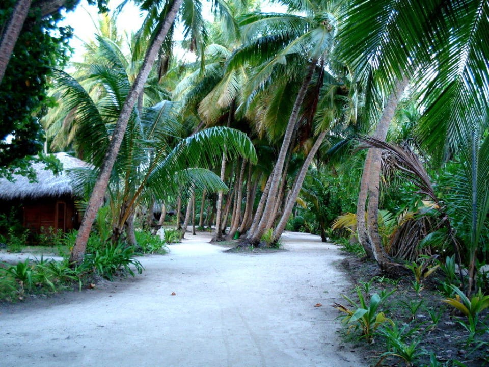 Weg vorbei an den Beachvillen Kuramathi Maldives