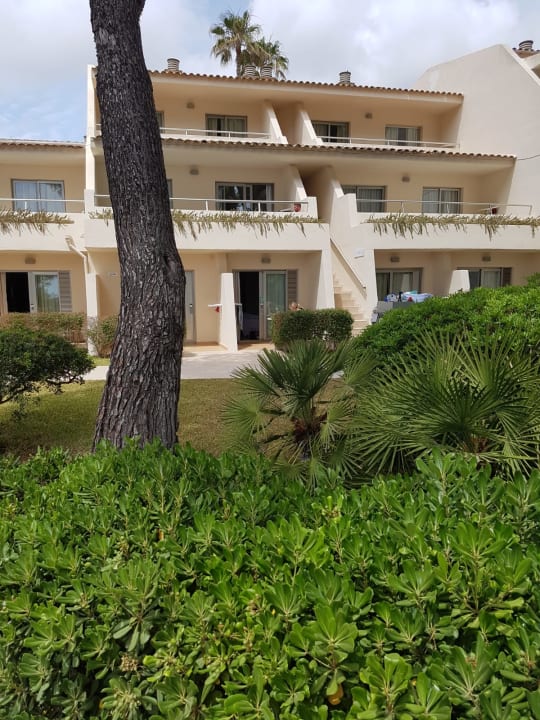 Zimmer Iberostar Waves Pinos Park