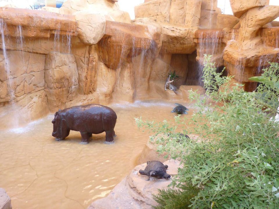 Aqua Park Pickalbatros Jungle Aqua Park Resort - Neverland Hurghada