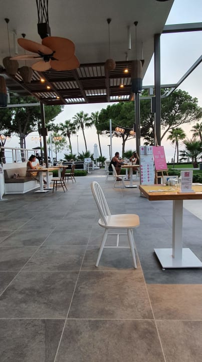 Gastro Acanthus Cennet Barut Collection