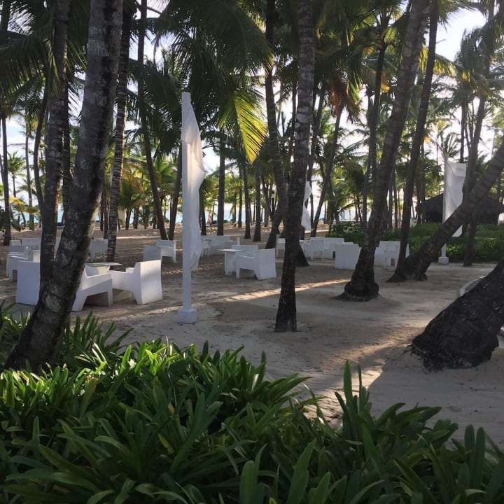 Schattiges Plätzchen Hotel Riu Bambu