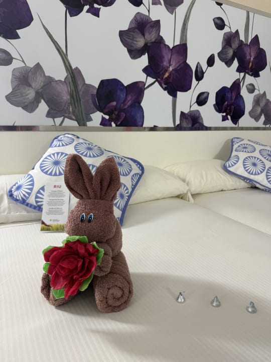 Zimmer Hotel Riu Playacar