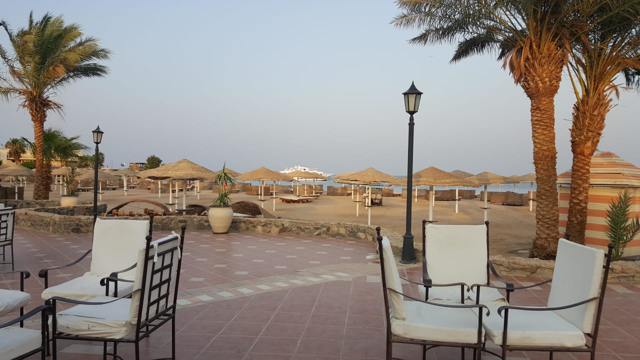 Früh am Morgen  Eagles Paradise Abu Soma