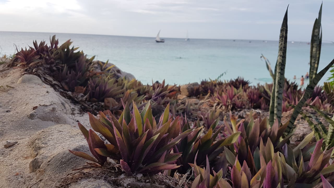 Strand Royal Zanzibar Beach Resort