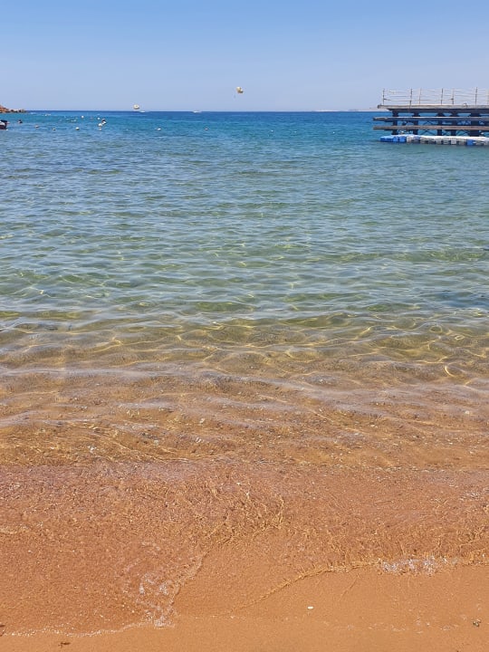 Zimmer Pickalbatros Aqua Park Resort - Sharm El Sheikh