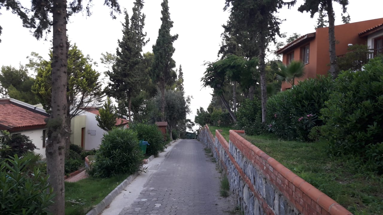 Urlaub Hotel Pine Bay Holiday Resort