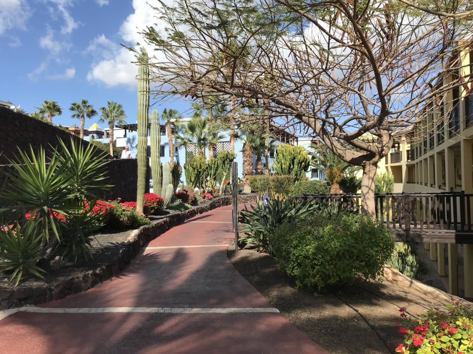 Gartenanlage Occidental Jandía Royal Level - Adults only