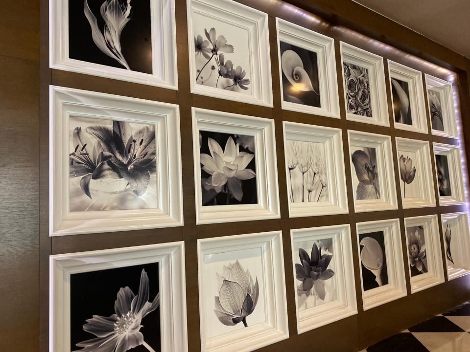 Zimmer Hotel Delphin Imperial