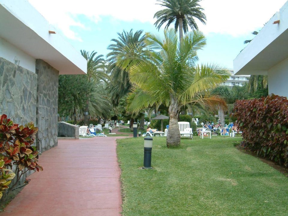 Blick vom Hinterausgang in den Palmengarten Bull Costa Canaria & Spa - Adults only