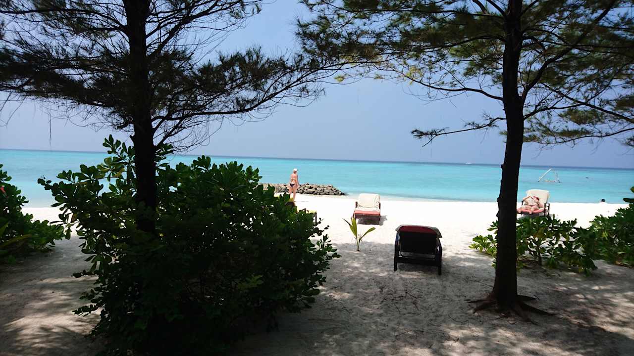 Strand Summer Island Maldives