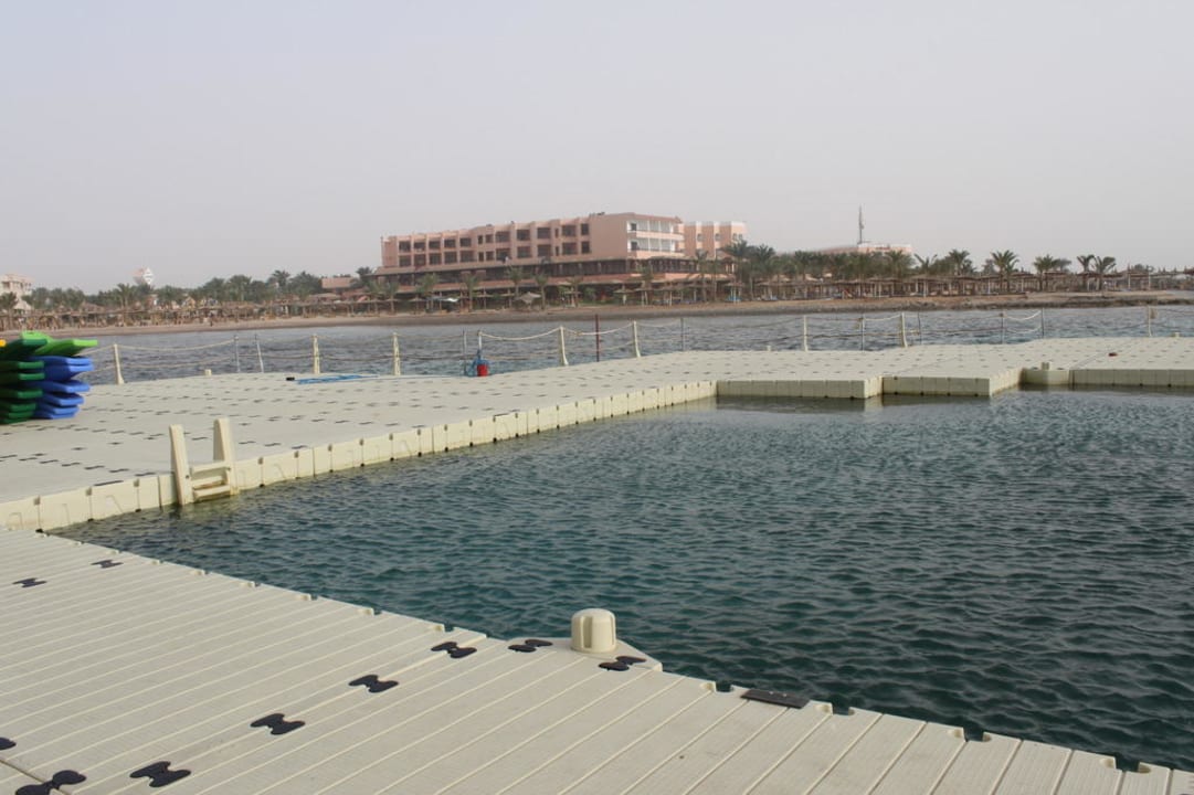 Meerwasserpool Pickalbatros Palace Resort