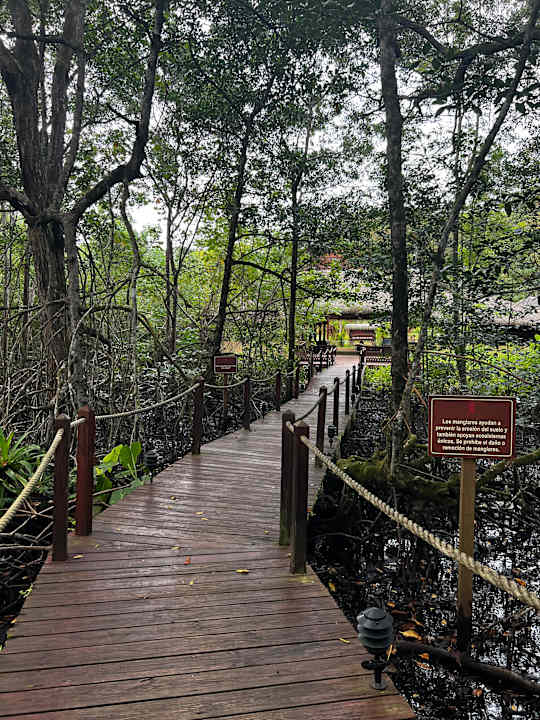 Gartenanlage Selina Red Frog