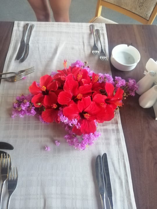 Gastro Hotel Defne Star