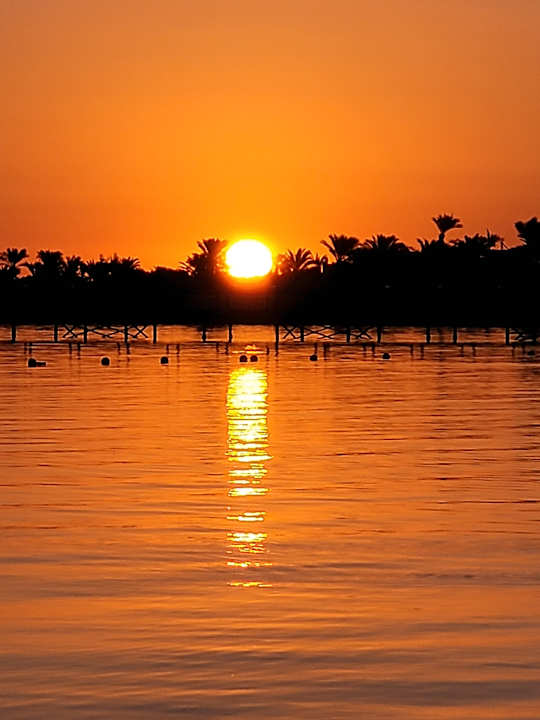 Strand Sentido Mamlouk Palace Resort