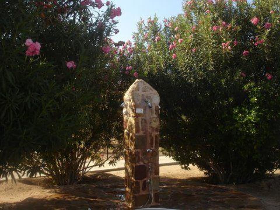 Stranddusche zwischen Oleander Steigenberger Coraya Beach - Adults only