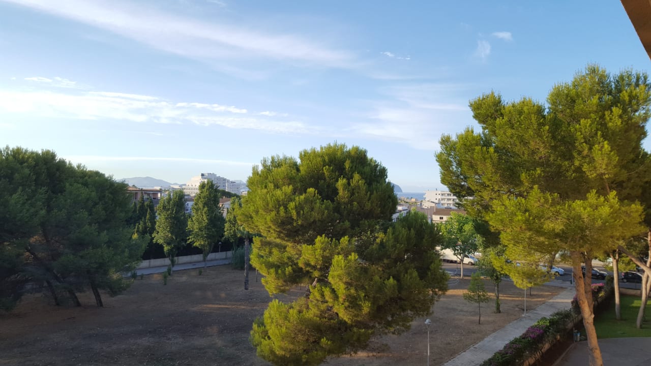Ausblick Aparthotel Can Picafort Palace