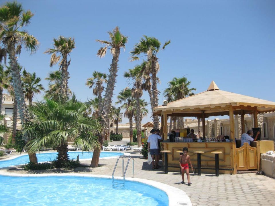 Palmenpool Pickalbatros Citadel Resort