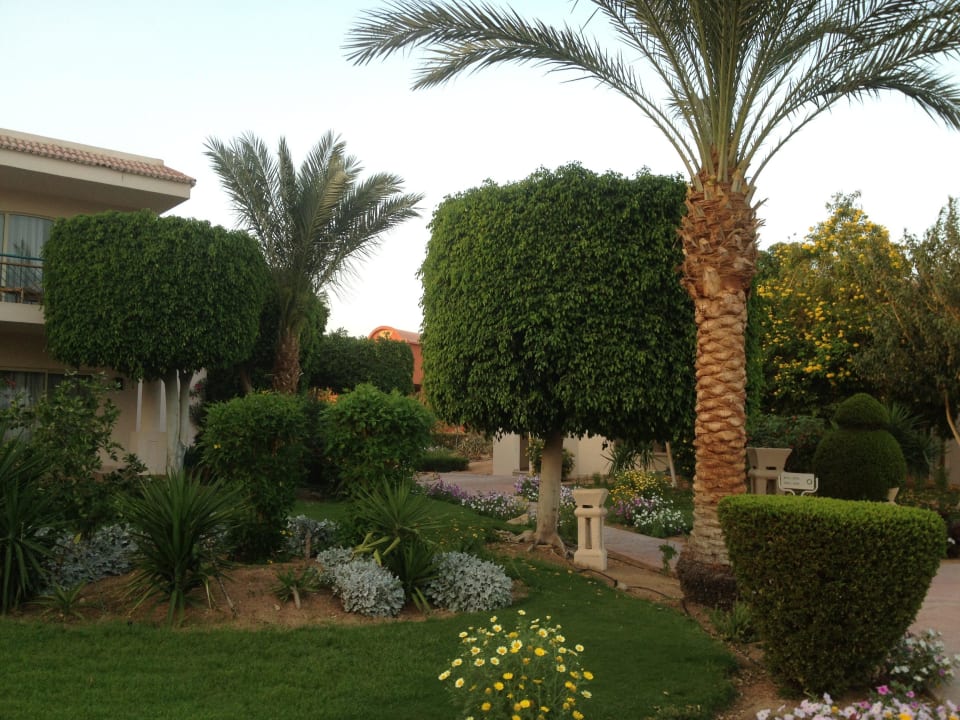 Zieleń Parrotel Beach Resort