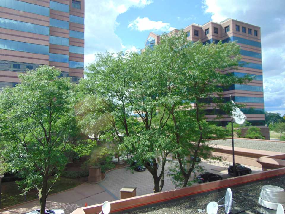 Ausblick Hotel The Henry