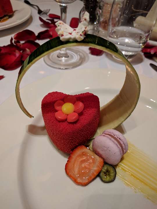 Gastro Acanthus Cennet Barut Collection