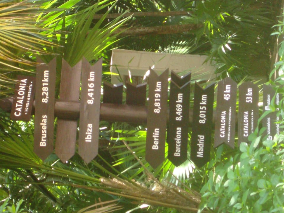 Hotel Catalonia Playa Maroma Catalonia Playa Maroma