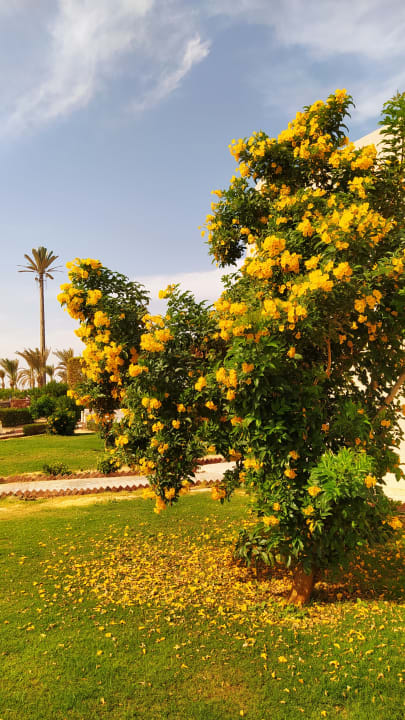 Ausblick Rohanou Beach Resort