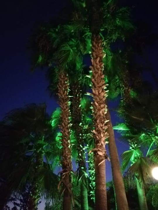 Außenansicht Labranda Alantur Resort