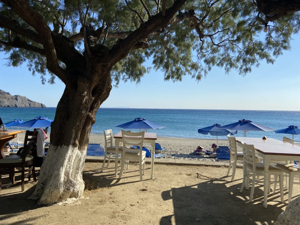 Gastro Alianthos Beach Hotel