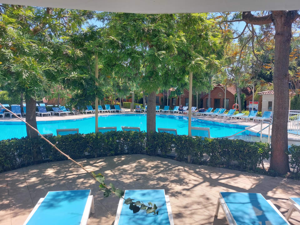 Pool Can Garden Beach