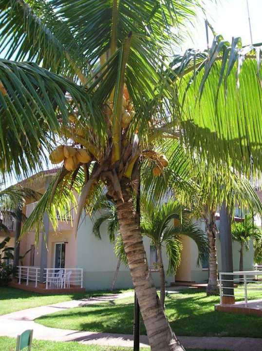 Die Hotelanlage/ Blick von unserem Balkon Sol Hicacos Varadero