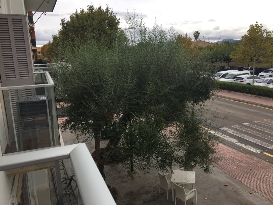 Ausblick Eix Alcudia Hotel