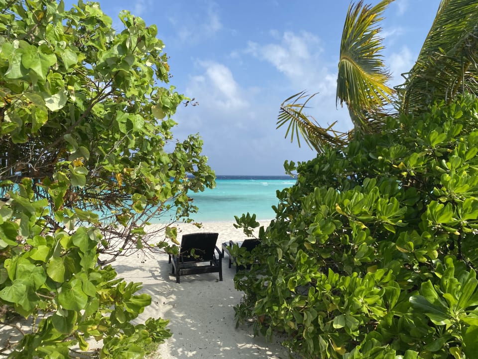 Ausblick Summer Island Maldives