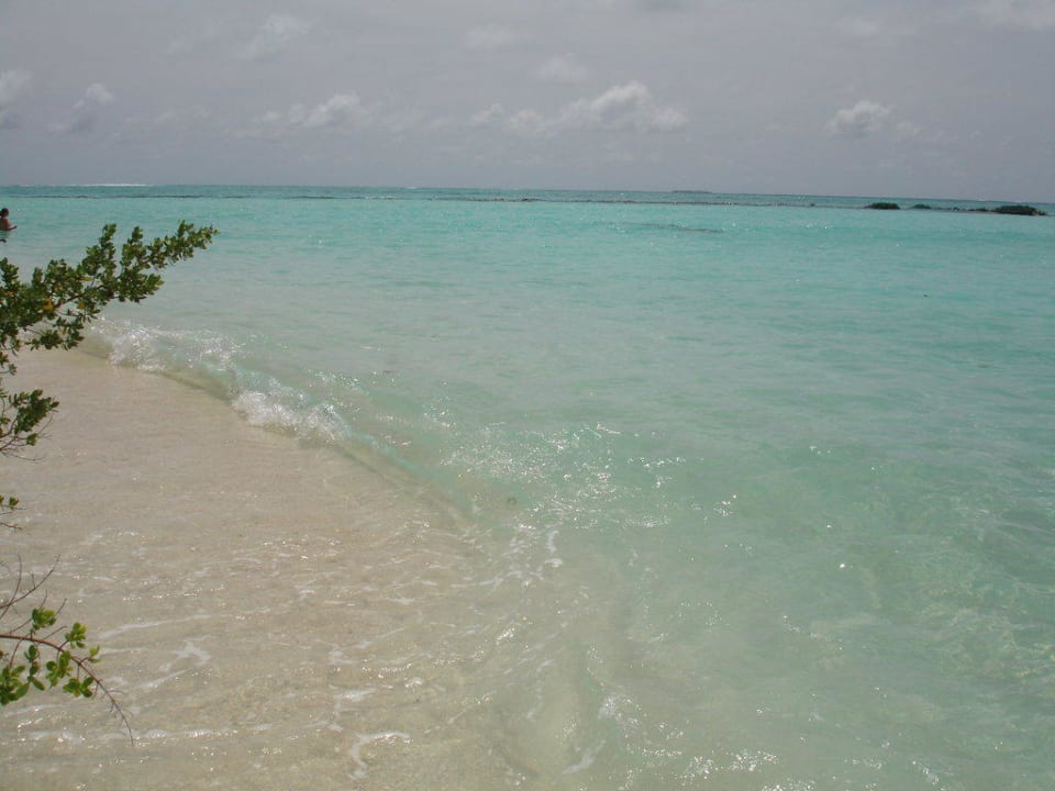 Strand Summer Island Maldives