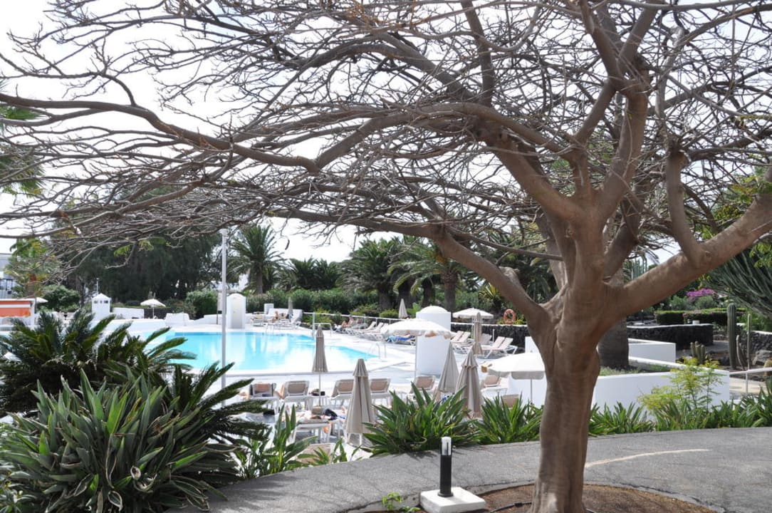 Pool Relaxia Olivina