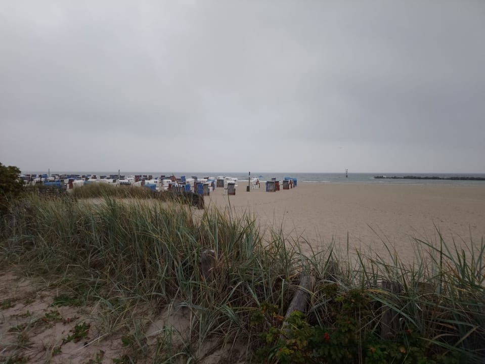 Strand Ferienhauspark Asgard in Damp