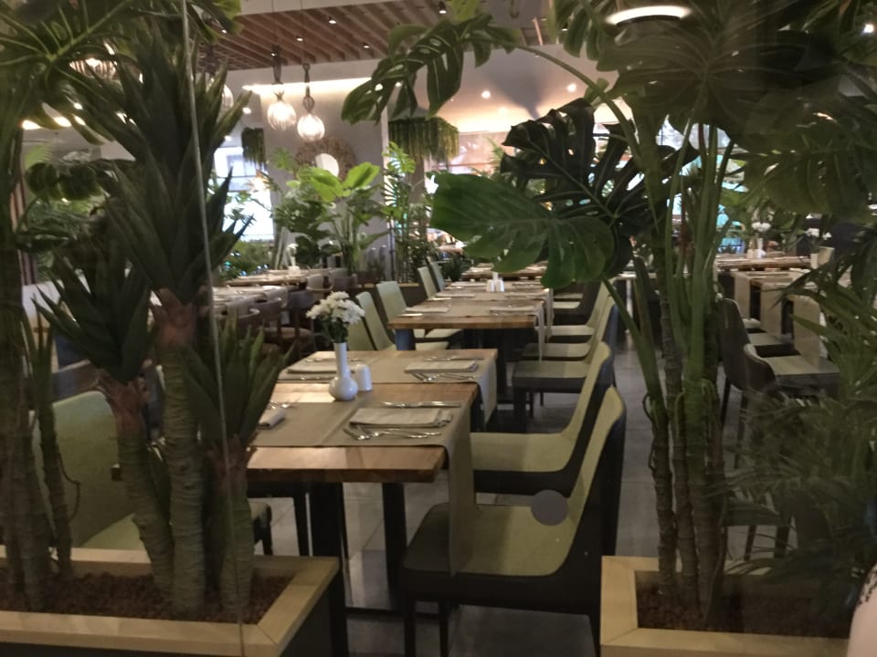 Gastro GRIFID Vistamar