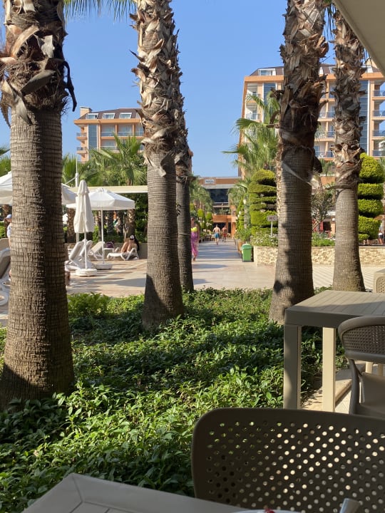 Gartenanlage Dizalya Palm Garden