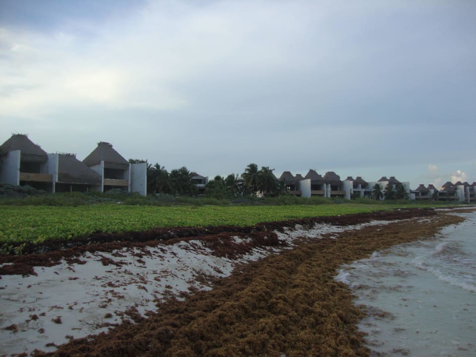 Hotel Catalonia Playa Maroma Catalonia Playa Maroma