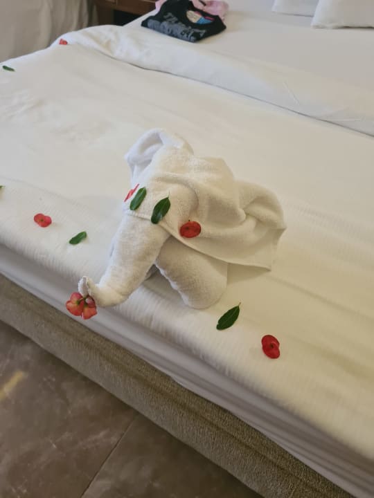 Zimmer Pickalbatros Royal Moderna Resort-Sharm El Sheikh