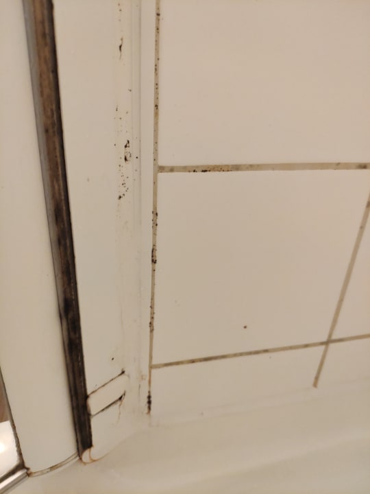 Zimmer ibis Wien City