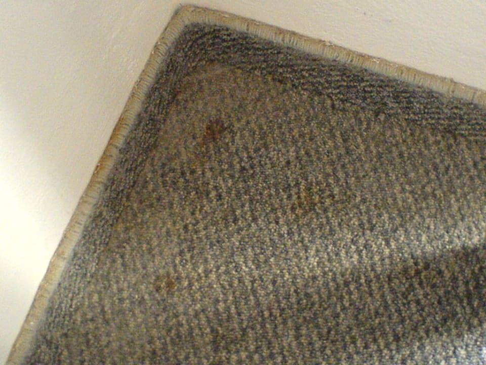 Teppich im Zimmer Atlantica Kolymbia Beach